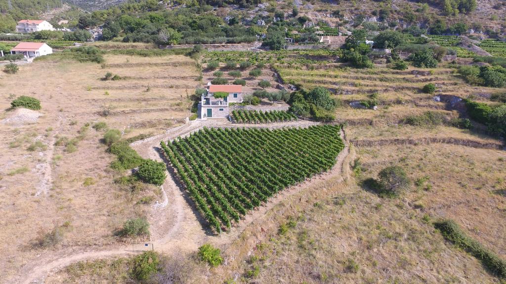 Holiday Home Vineyard House Bol Eksteriør billede