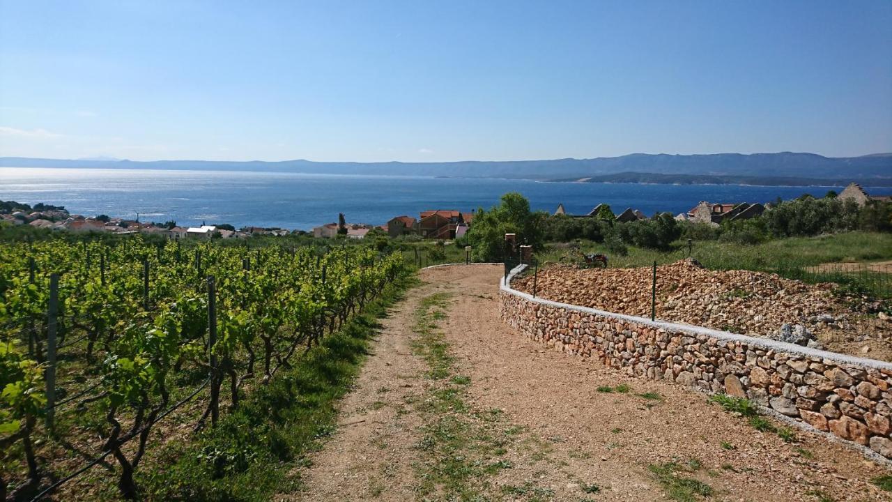 Holiday Home Vineyard House Bol Eksteriør billede